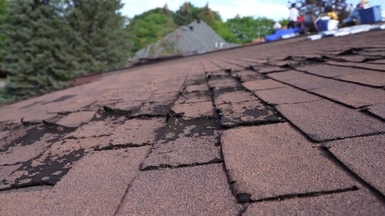 Hot Roofs in Oak Leaf, TX
